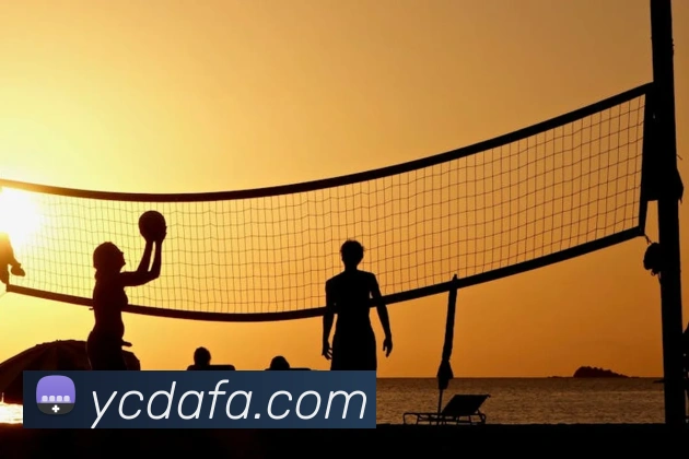 大发彩票品牌故事