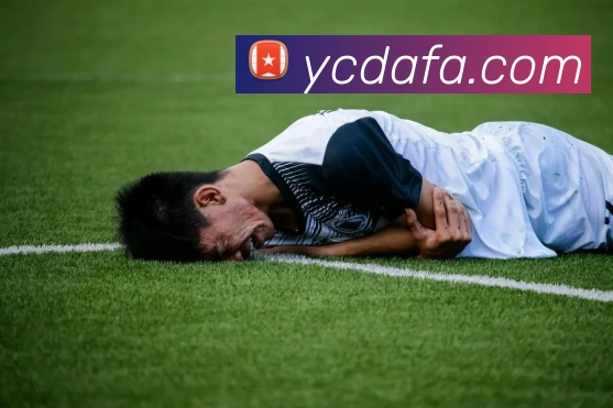 大发彩票服务体系